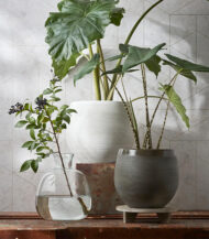 Mica Douro Pot